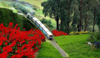 Ooty Holidays