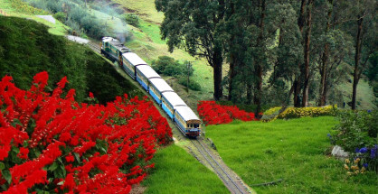 Ooty Holidays