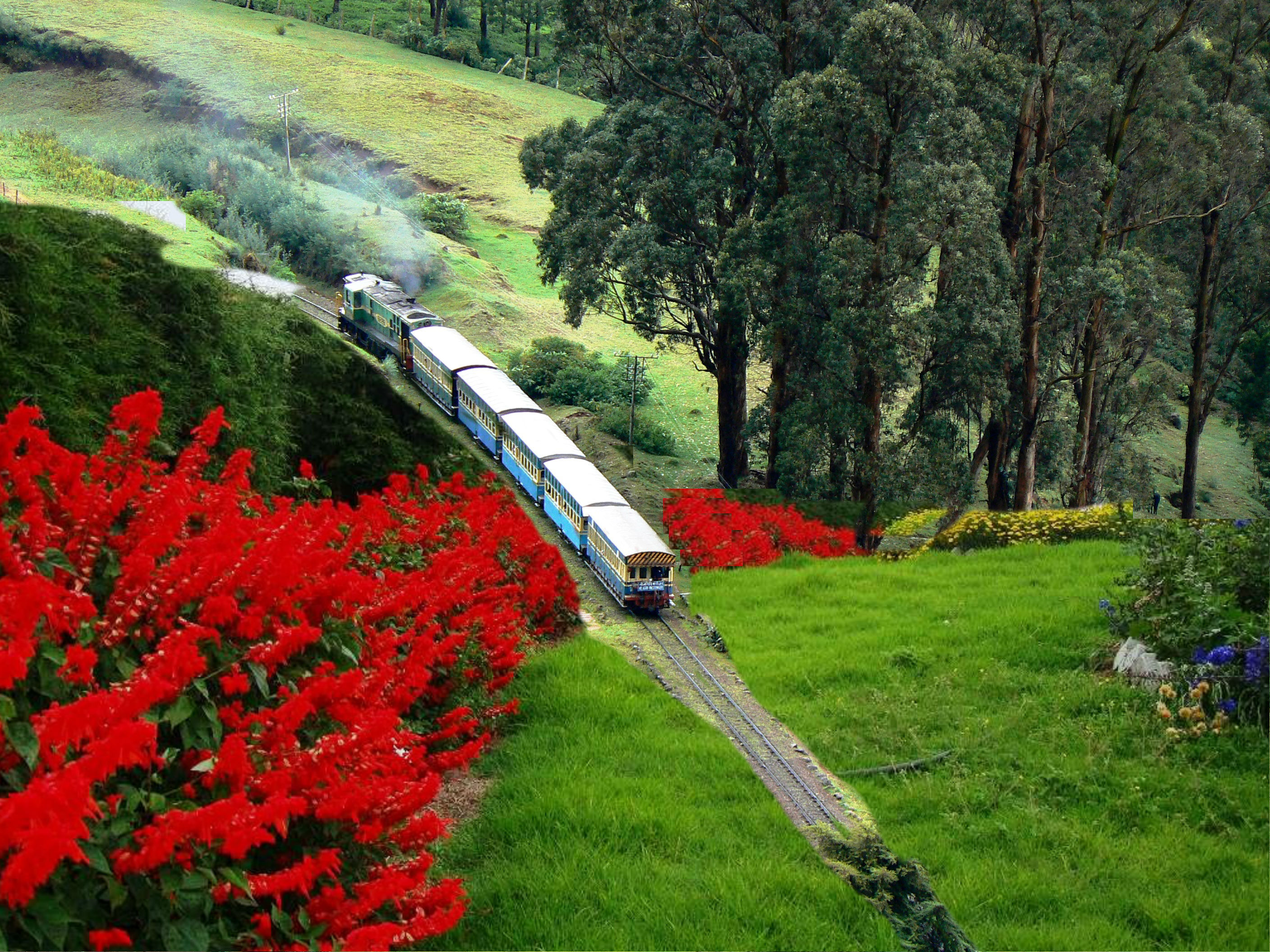 Ooty Holidays