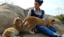 Corbett Holidays