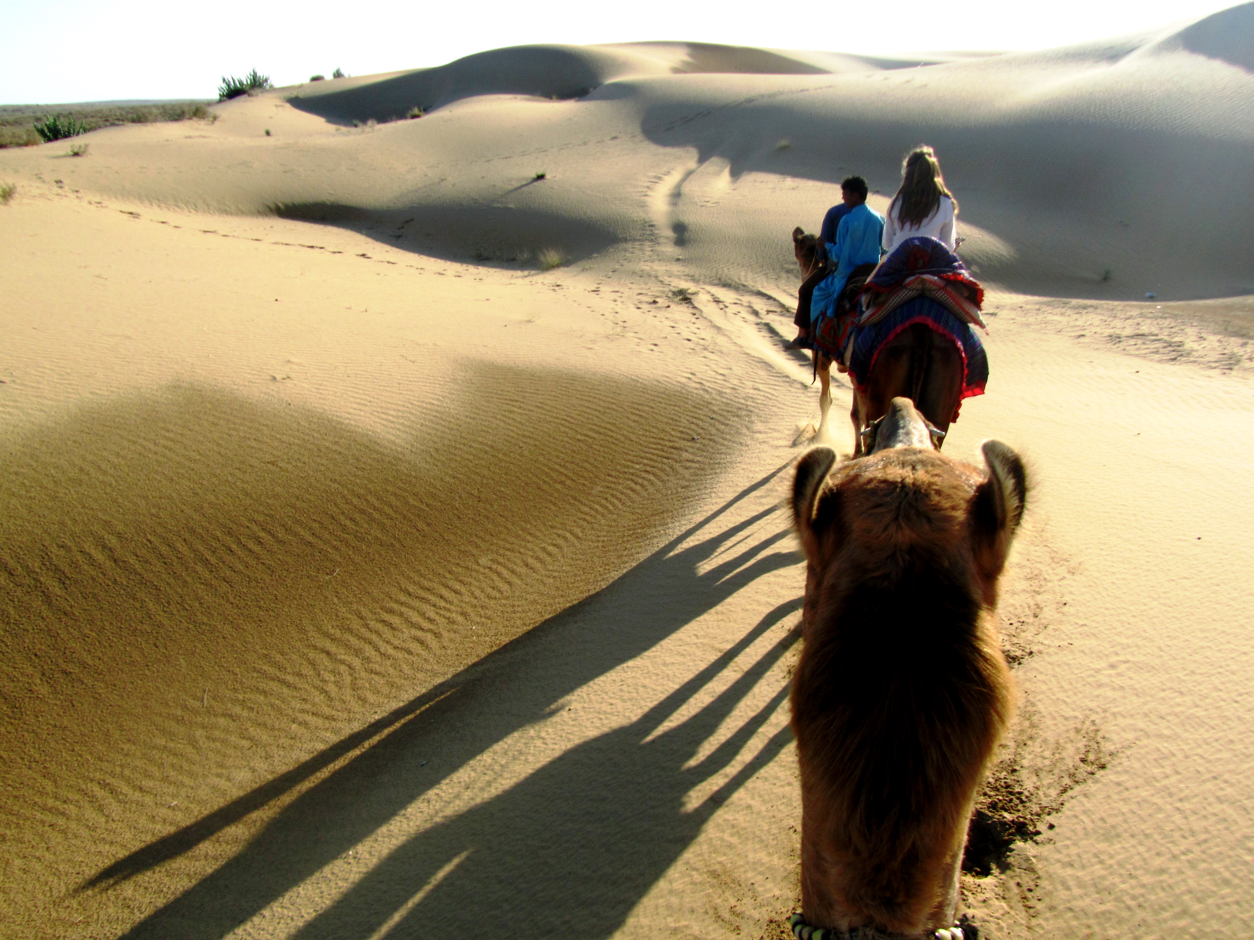 Get Set For A Jaisalmer Holidays – Get Intimate With The Sand Dunes of Rajasthan