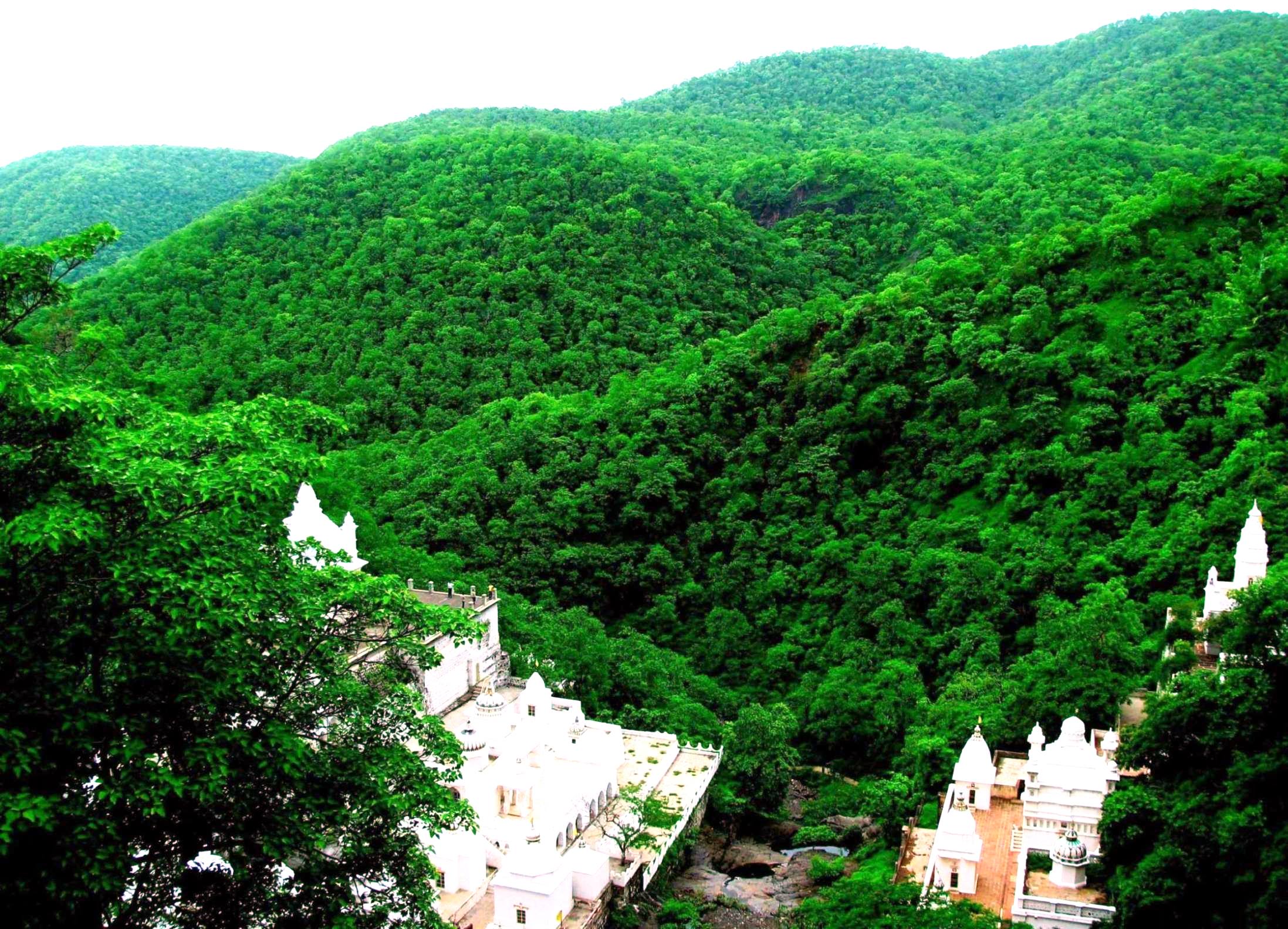 Traditional Jain Pilgrimage Tours