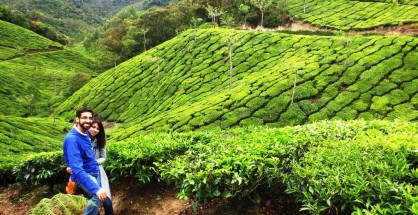 Munnar Holidays