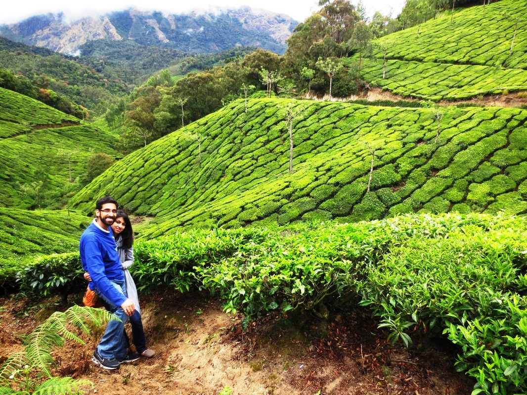 Exploring The Mystic Splendor of Munnar Holidays