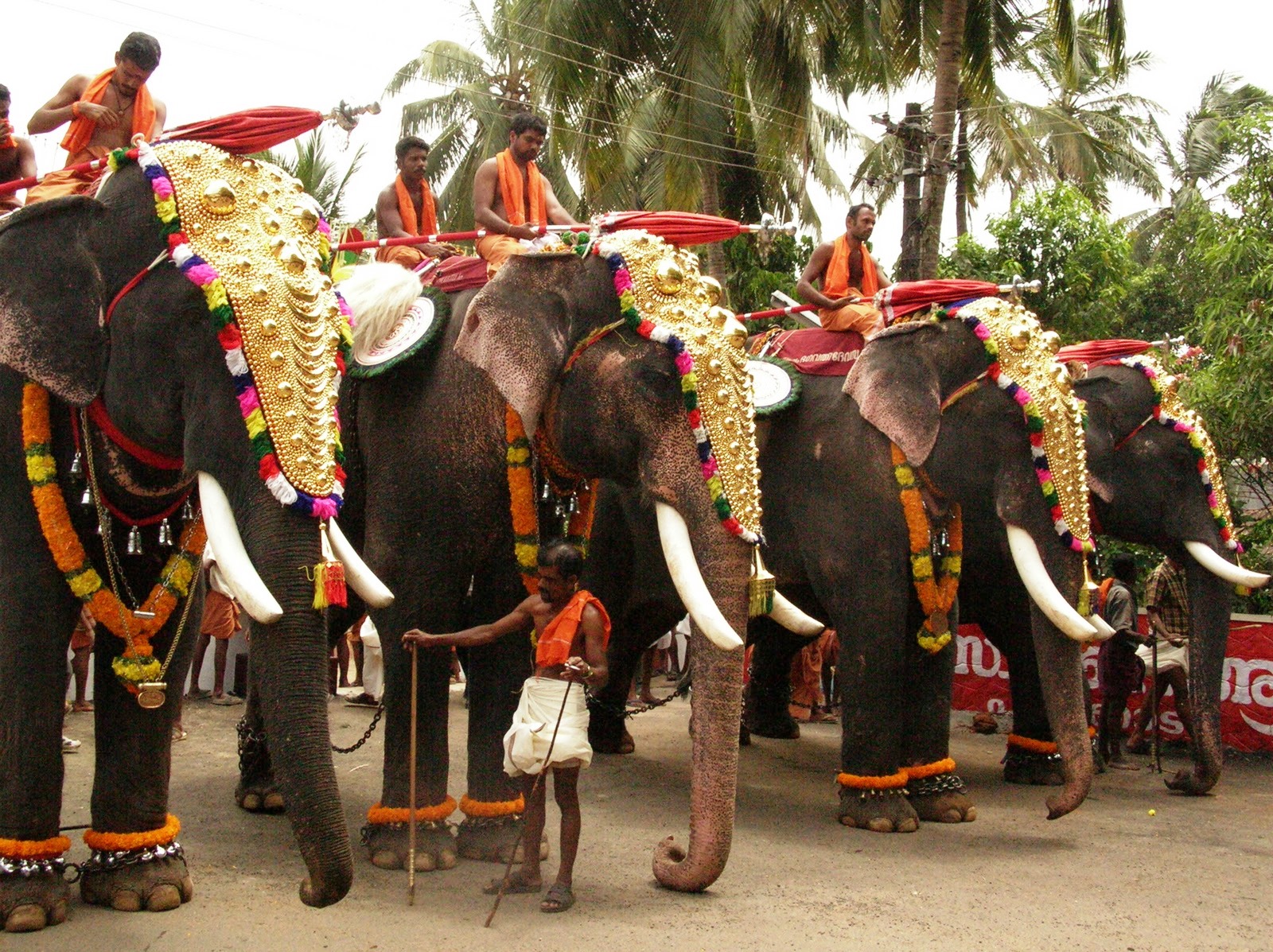 South India Tours