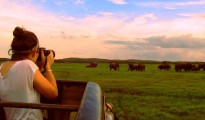 Sri Lanka Holidays