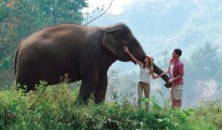 Thailand Holidays